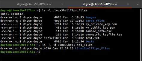 How to Change File Ownership in Linux .